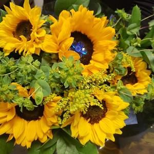 Meet your Posher, Macarena